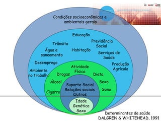 Condições socioeconômicas e
ambientais gerais
Ambiente
no trabalho
Desemprego
Habitação
Trânsito
Educação
Água e
saneamento
Previdência
Social
Serviços de
Saúde
Produção
Agrícola
Cigarro
Álcool
DietaDrogas
Atividade
Física
Sexo
Sono
Suporte Social
Relações sociais
Outros
Determinantes da saúde
DALGREN & WHITEHEAD, 1991
Idade
Genética
Sexo
 