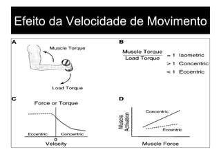 Efeito da Velocidade de Movimento 