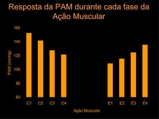 Resposta da PAM durante cada fase da Ação Muscular 