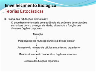 Envelhecimento Biológico
Teorias Estocásticas
3. Teoria das “Mutações Somáticas”:
     O envelhecimento seria conseqüência do acúmulo de mutações
     somáticas com o avançar da idade, alterando a função dos
     diversos órgãos corporais.

                      Mutação

          Perpetuação da mutação durante a divisão celular

          Aumento do número de células mutantes no organismo

           Mau funcionamento dos tecidos, órgãos e sistemas

              Declínio das funções orgânicas
 