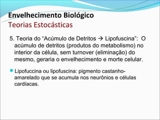 Envelhecimento Biológico
Teorias Estocásticas
5. Teoria do “Acúmulo de Detritos  Lipofuscina”: O
  acúmulo de detritos (produtos do metabolismo) no
  interior da célula, sem turnover (eliminação) do
  mesmo, geraria o envelhecimento e morte celular.
Lipofuccina ou lipofuscina: pigmento castanho-
 amarelado que se acumula nos neurônios e células
 cardíacas.
 