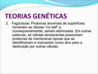 TEORIAS GENÉTICAS
2. Fagocitose: Proteínas anormais de superfícies
   tornariam as células “no self” e,
   consequentemente, seriam eliminadas. Em outras
   palavras, as células senescentes possuiriam
   proteínas de membranas típicas que as
   identificariam e marcariam como alvo para a
   destruição por outras células.
 