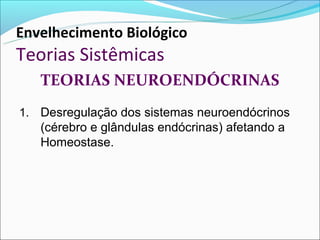Envelhecimento Biológico
Teorias Sistêmicas
   TEORIAS NEUROENDÓCRINAS
1. Desregulação dos sistemas neuroendócrinos
   (cérebro e glândulas endócrinas) afetando a
   Homeostase.
 