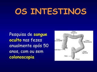 OS INTESTINOS
Pesquisa de sangue
oculto nas fezes
anualmente após 50
anos, com ou sem
colonoscopia
 