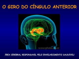 O GIRO DO CÍNGULO ANTERIOR
ÁREA CEREBRAL RESPONSAVEL PELO ENVELHECIMENTO SAUDÁVEL!
 