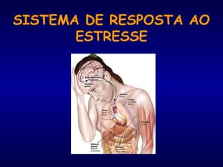 SISTEMA DE RESPOSTA AO
ESTRESSE
 