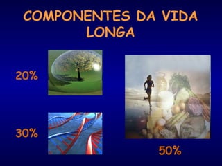 COMPONENTES DA VIDA
LONGA
50%
30%
20%
 