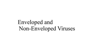 Enveloped and Non Enveloped Viruses.pptx