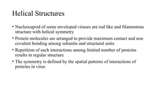 Enveloped and Non Enveloped Viruses.pptx