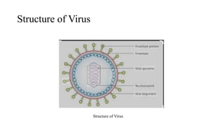 Enveloped and Non Enveloped Viruses.pptx