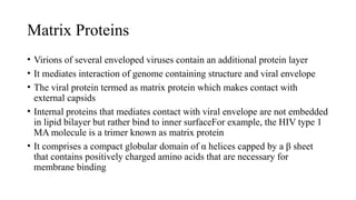 Enveloped and Non Enveloped Viruses.pptx