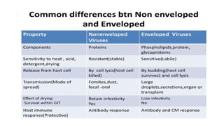 Enveloped and Non Enveloped Viruses.pptx
