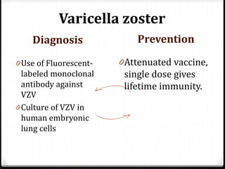Varicella zoster
Diagnosis
0 Use of Fluorescentlabeled monoclonal

antibody against
VZV
0 Culture of VZV in
human embryonic
lung cells

Prevention
0 Attenuated vaccine,

single dose gives
lifetime immunity.

 