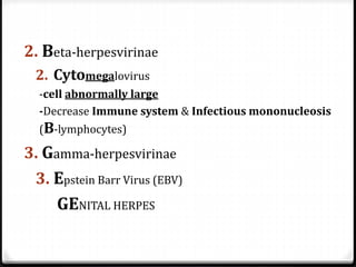 2. Beta-herpesvirinae
2. Cytomegalovirus
-cell abnormally large
-Decrease Immune system & Infectious mononucleosis
(B-lymphocytes)

3. Gamma-herpesvirinae
3. Epstein Barr Virus (EBV)

GENITAL HERPES

 