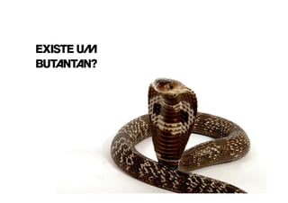 EXISTE UM
BUTANTAN?
 
