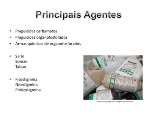 • Praguicidas carbamatos
• Praguicidas organofosforados
• Armas químicas de organofosforados

• Sarin
  Soman
  Tabun

• Fisostigmina
  Neostigmina
  Piridostigmina

                                       http://www.google.com.br/imgres?q=picada+de+c
 