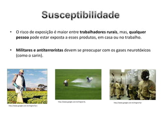 • O risco de exposição é maior entre trabalhadores rurais, mas, qualquer
   pessoa pode estar exposta a esses produtos, em casa ou no trabalho.

 • Militares e antiterroristas devem se preocupar com os gases neurotóxicos
   (como o sarin).




                                      http://www.google.com.br/imgres?q
                                                                          http://www.google.com.br/imgres?q=
http://www.google.com.br/imgres?q=c
 