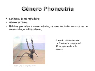 • Conhecida como Armadeira;
• Não constrói teia;
• Habitam proximidade das residências, sapatos, depósitos de materiais de
  construções, entulhos e lenha;



                                                       A aranha armadeira tem
                                                       de 3 a 4cm de corpo e até
                                                       15 de envergadura de
                                                       pernas.




       http://www.google.com.br/imgres?q=picada+de+c
 