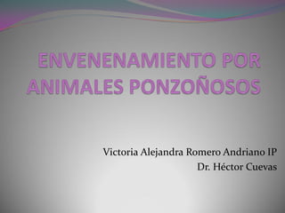 Victoria Alejandra Romero Andriano IP
                     Dr. Héctor Cuevas
 