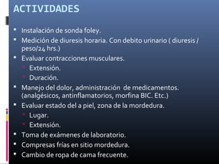 ACTIVIDADES
 Instalación de sonda foley.
 Medición de diuresis horaria. Con debito urinario ( diuresis /
peso/24 hrs.)
 Evaluar contracciones musculares.
 Extensión.
 Duración.
 Manejo del dolor, administración de medicamentos.
(analgésicos, antinflamatorios, morfina BIC. Etc.)
 Evaluar estado del a piel, zona de la mordedura.
 Lugar.
 Extensión.
 Toma de exámenes de laboratorio.
 Compresas frías en sitio mordedura.
 Cambio de ropa de cama frecuente.
 