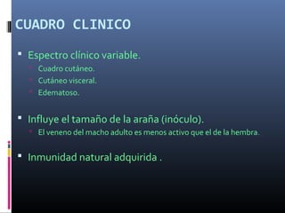 CUADRO CLINICO
 Espectro clínico variable.
 Cuadro cutáneo.
 Cutáneo visceral.
 Edematoso.
 Influye el tamaño de la araña (inóculo).
 El veneno del macho adulto es menos activo que el de la hembra.
 Inmunidad natural adquirida .
 