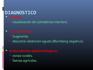 DIAGNOSTICO
 Certeza.
 visualización de Latrodectus mactans .
 Cuadro clínico.
 Sugerente.
 descartar abdomen agudo (Blumberg negativo).
 Antecedentes epidemiológicos.
 zonas rurales.
 faenas agrícolas.
 
