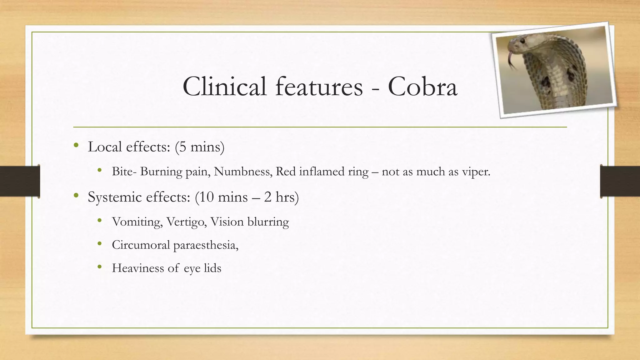 Clinical features - Cobra
• Local effects: (5 mins)
• Bite- Burning pain, Numbness, Red inflamed ring – not as much as viper.
• Systemic effects: (10 mins – 2 hrs)
• Vomiting, Vertigo, Vision blurring
• Circumoral paraesthesia,
• Heaviness of eye lids
 