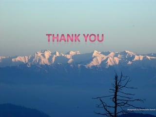 Environmental movements in India