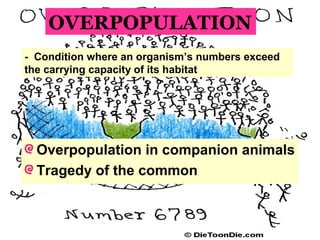 Overpopulation in companion animals
Tragedy of the common
OVERPOPULATION
- Condition where an organism’s numbers exceed
the carrying capacity of its habitat
 