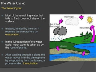 The Water Cycle:
The Water Cycle:
⦿ Most of the remaining water that
falls to Earth does not stay on the
surface.
⦿ Instead, heated by the sun, it
reenters the atmosphere by
evaporation.
⦿ In the living portion of the water
cycle, much water is taken up by
the roots of plants.
⦿ After passing through a plant, the
water moves into the atmosphere
by evaporating from the leaves, a
process called transpiration.
 
