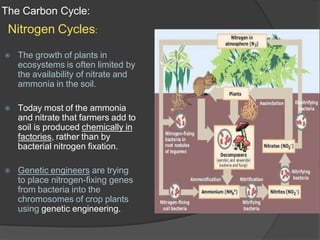 The Carbon Cycle:
Nitrogen Cycles:
⦿ The growth of plants in
ecosystems is often limited by
the availability of nitrate and
ammonia in the soil.
⦿ Today most of the ammonia
and nitrate that farmers add to
soil is produced chemically in
factories, rather than by
bacterial nitrogen fixation.
⦿ Genetic engineers are trying
to place nitrogen-fixing genes
from bacteria into the
chromosomes of crop plants
using genetic engineering.
 