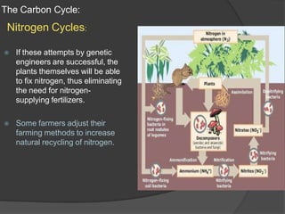 The Carbon Cycle:
Nitrogen Cycles:
⦿ If these attempts by genetic
engineers are successful, the
plants themselves will be able
to fix nitrogen, thus eliminating
the need for nitrogen-
supplying fertilizers.
⦿ Some farmers adjust their
farming methods to increase
natural recycling of nitrogen.
 