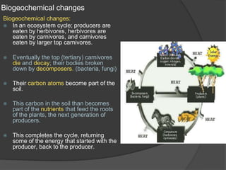 Biogeochemical changes
Biogeochemical changes:
⦿ In an ecosystem cycle; producers are
eaten by herbivores, herbivores are
eaten by carnivores, and carnivores
eaten by larger top carnivores.
⦿ Eventually the top (tertiary) carnivores
die and decay; their bodies broken
down by decomposers. (bacteria, fungi)
⦿ Their carbon atoms become part of the
soil.
⦿ This carbon in the soil than becomes
part of the nutrients that feed the roots
of the plants, the next generation of
producers.
⦿ This completes the cycle, returning
some of the energy that started with the
producer, back to the producer.
 