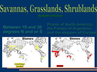 Between 10 and 30 degrees N and or S Prairie of North America, the Pampa of Argentina, and the steppes of Europe Savannas, Grasslands, Shrublands By Kaitlin O'Connor 