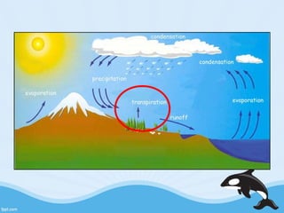 Water Cycle Presentation