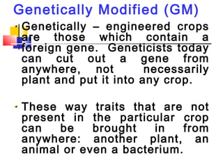 Genetically Modified (GM)
Genetically – engineered crops
are those which contain a
foreign gene. Geneticists today
can cut out a gene from
anywhere, not necessarily
plant and put it into any crop.
These way traits that are not
present in the particular crop
can be brought in from
anywhere: another plant, an
animal or even a bacterium.
 