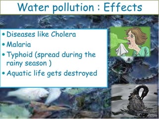  Diseases like Cholera
 Malaria
 Typhoid (spread during the
rainy season )
 Aquatic life gets destroyed
Water pollution : Effects
 