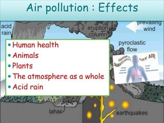  Human health
 Animals
 Plants
 The atmosphere as a whole
 Acid rain
Air pollution : Effects
 