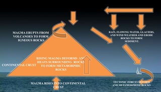 RISING MAGMA DEFORMS AND
HEATS SURROUNDING ROCKS
TO FORM METAMORPHIC
ROCKS
Rain falls
RAIN, FLOWING WATER, GLACIERS,
AND WIND WEATHER AND ERODE
ROCKS TO FORM
SEDIMENT.
TECTONIC FORCES DEFORM
AND METAMORPHOSE ROCKS
MAGMA RISES INTO CONTINENTAL
CRUST
MAGMA ERUPTS FROM
VOLCANOES TO FORM
IGNEOUS ROCKS
CONTINENTAL CRUST
 