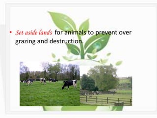 • Set aside lands for animals to prevent over
grazing and destruction.
 