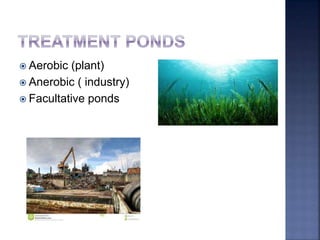  Aerobic (plant)
 Anerobic ( industry)
 Facultative ponds
 