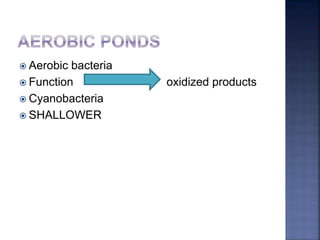  Aerobic bacteria
 Function oxidized products
 Cyanobacteria
 SHALLOWER
 