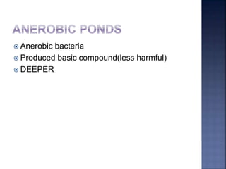  Anerobic bacteria
 Produced basic compound(less harmful)
 DEEPER
 