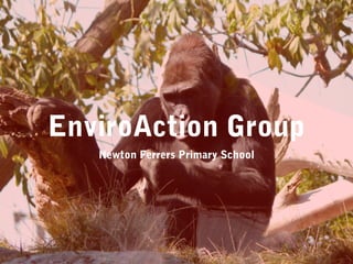 EnviroAction Group
Newton Ferrers Primary School
 