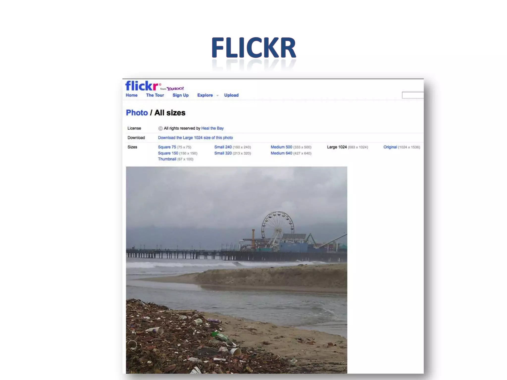 Allow to use on their site
 