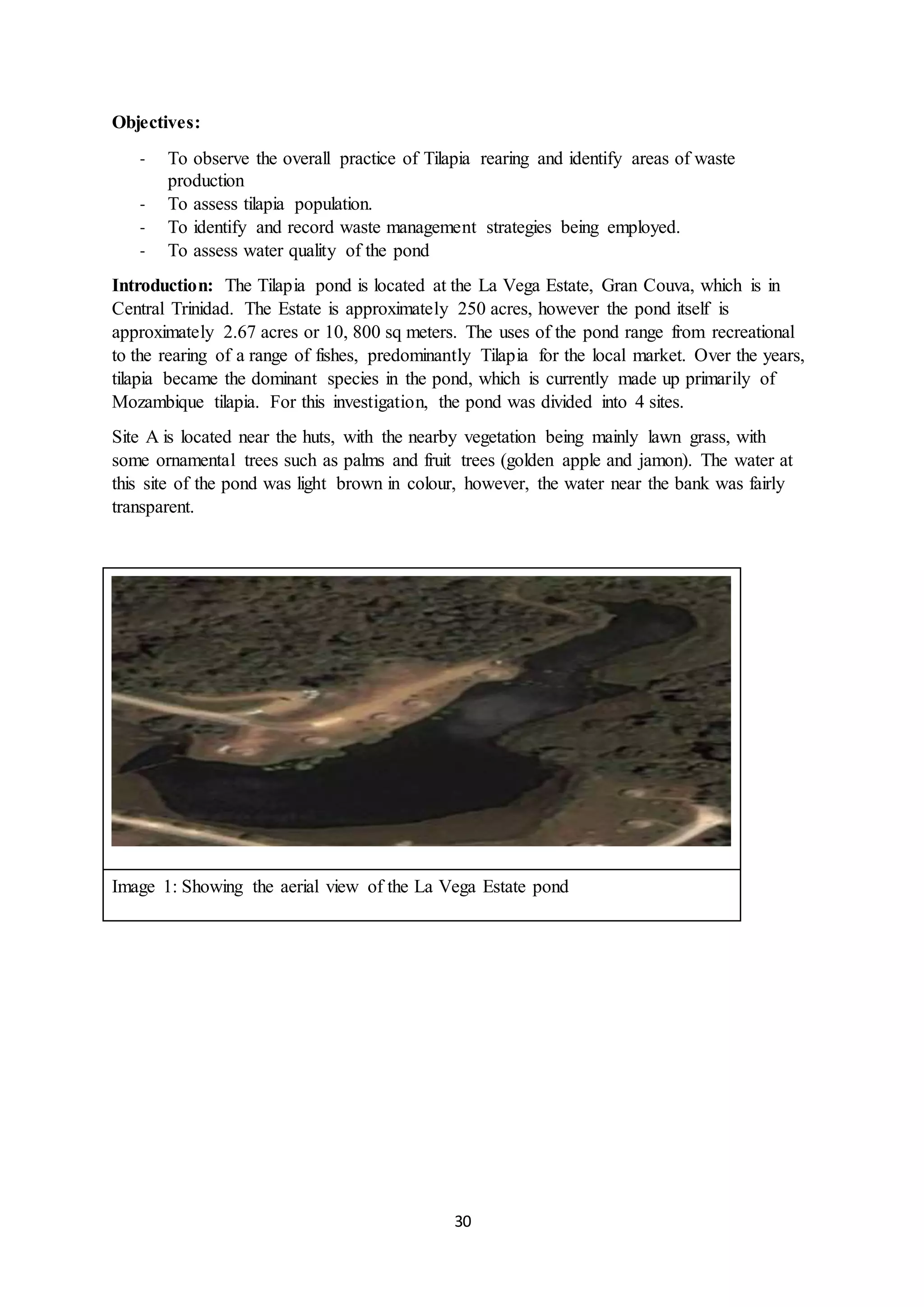 30
Objectives:
- To observe the overall practice of Tilapia rearing and identify areas of waste
production
- To assess tilapia population.
- To identify and record waste management strategies being employed.
- To assess water quality of the pond
Introduction: The Tilapia pond is located at the La Vega Estate, Gran Couva, which is in
Central Trinidad. The Estate is approximately 250 acres, however the pond itself is
approximately 2.67 acres or 10, 800 sq meters. The uses of the pond range from recreational
to the rearing of a range of fishes, predominantly Tilapia for the local market. Over the years,
tilapia became the dominant species in the pond, which is currently made up primarily of
Mozambique tilapia. For this investigation, the pond was divided into 4 sites.
Site A is located near the huts, with the nearby vegetation being mainly lawn grass, with
some ornamental trees such as palms and fruit trees (golden apple and jamon). The water at
this site of the pond was light brown in colour, however, the water near the bank was fairly
transparent.
Image 1: Showing the aerial view of the La Vega Estate pond
 