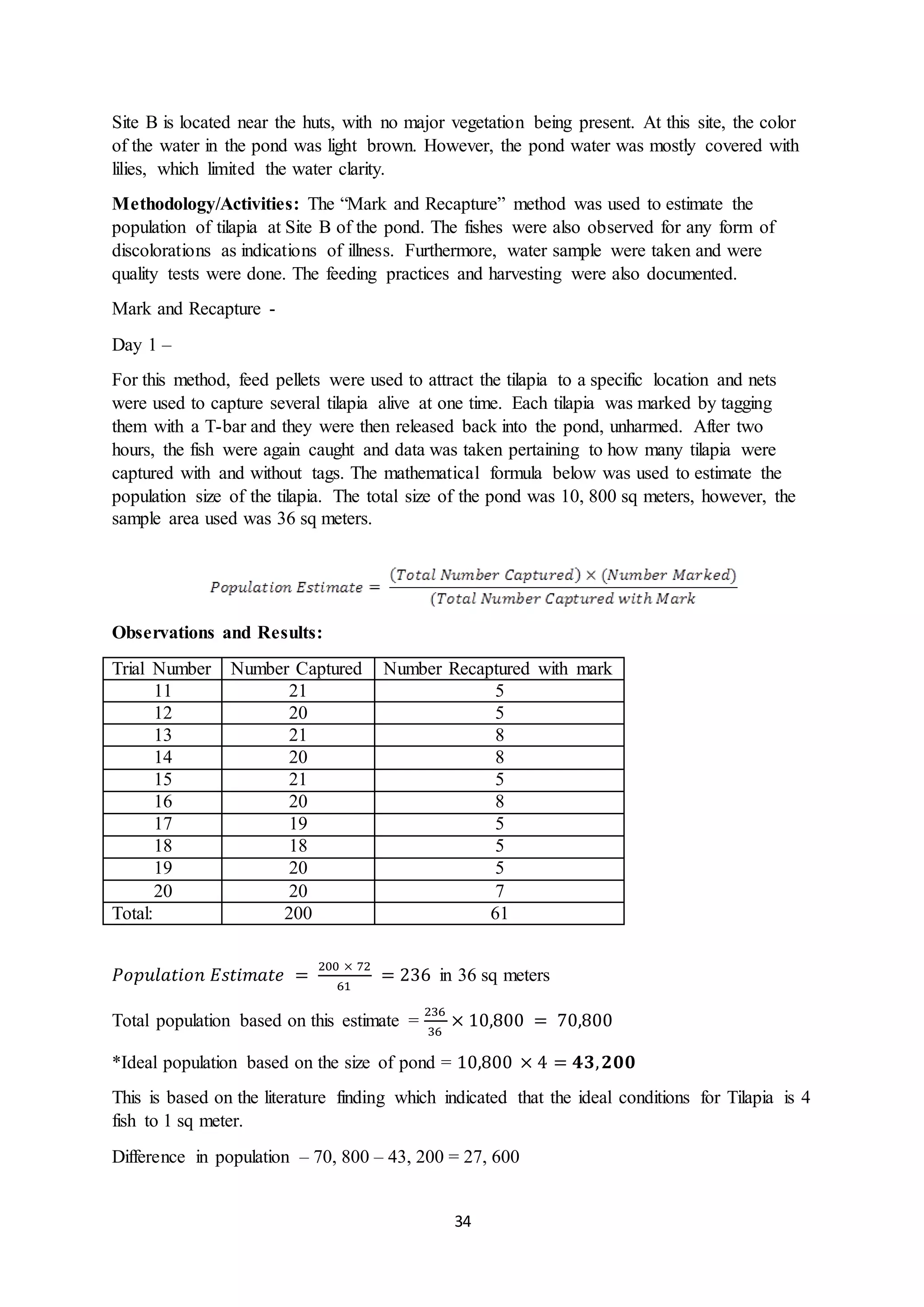 34
Site B is located near the huts, with no major vegetation being present. At this site, the color
of the water in the pond was light brown. However, the pond water was mostly covered with
lilies, which limited the water clarity.
Methodology/Activities: The “Mark and Recapture” method was used to estimate the
population of tilapia at Site B of the pond. The fishes were also observed for any form of
discolorations as indications of illness. Furthermore, water sample were taken and were
quality tests were done. The feeding practices and harvesting were also documented.
Mark and Recapture -
Day 1 –
For this method, feed pellets were used to attract the tilapia to a specific location and nets
were used to capture several tilapia alive at one time. Each tilapia was marked by tagging
them with a T-bar and they were then released back into the pond, unharmed. After two
hours, the fish were again caught and data was taken pertaining to how many tilapia were
captured with and without tags. The mathematical formula below was used to estimate the
population size of the tilapia. The total size of the pond was 10, 800 sq meters, however, the
sample area used was 36 sq meters.
Observations and Results:
Trial Number Number Captured Number Recaptured with mark
11 21 5
12 20 5
13 21 8
14 20 8
15 21 5
16 20 8
17 19 5
18 18 5
19 20 5
20 20 7
Total: 200 61
𝑃𝑜𝑝𝑢𝑙𝑎𝑡𝑖𝑜𝑛 𝐸𝑠𝑡𝑖𝑚𝑎𝑡𝑒 =
200 × 72
61
= 236 in 36 sq meters
Total population based on this estimate =
236
36
× 10,800 = 70,800
*Ideal population based on the size of pond = 10,800 × 4 = 𝟒𝟑, 𝟐𝟎𝟎
This is based on the literature finding which indicated that the ideal conditions for Tilapia is 4
fish to 1 sq meter.
Difference in population – 70, 800 – 43, 200 = 27, 600
 