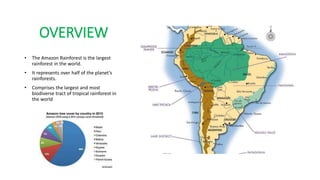 OVERVIEW
• The Amazon Rainforest is the largest
rainforest in the world.
• It represents over half of the planet’s
rainforests.
• Comprises the largest and most
biodiverse tract of tropical rainforest in
the world
 