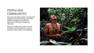 PEOPLE AND
COMMUNITIES
More than 30 million people, including 350
indigenous and ethnic groups, live in the
Amazon and depend on nature for
agriculture, clothing and traditional
medicines.
Most live in large urban centres, but all
residents rely on the Amazon’s natural
bounty for food, shelter and livelihoods.
 