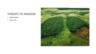 THREATS TO AMAZON
• Deforestation
• Forest Fire
 